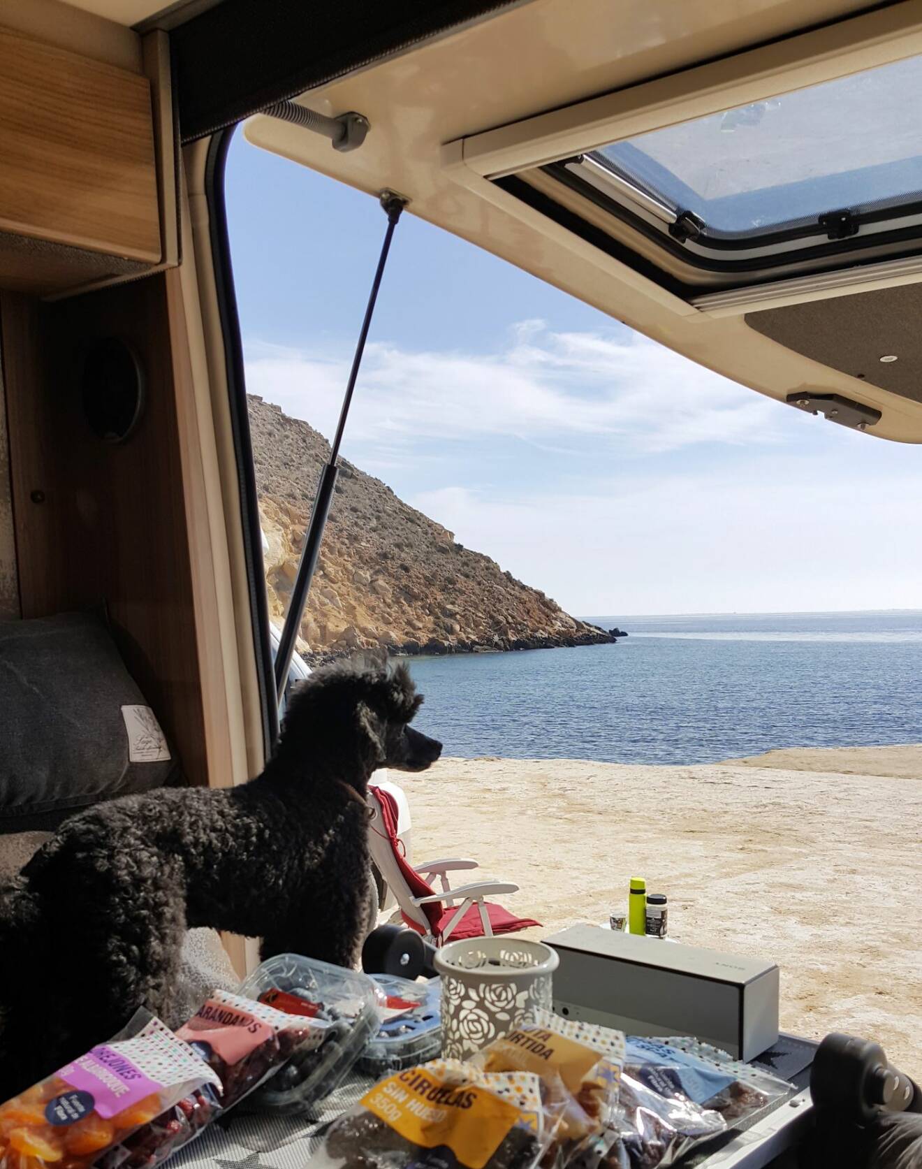 Eva har stannat till vid havet, fält upp bakdörren, dukat fram fika på bordet och hunden Tom spanar på utsikten.