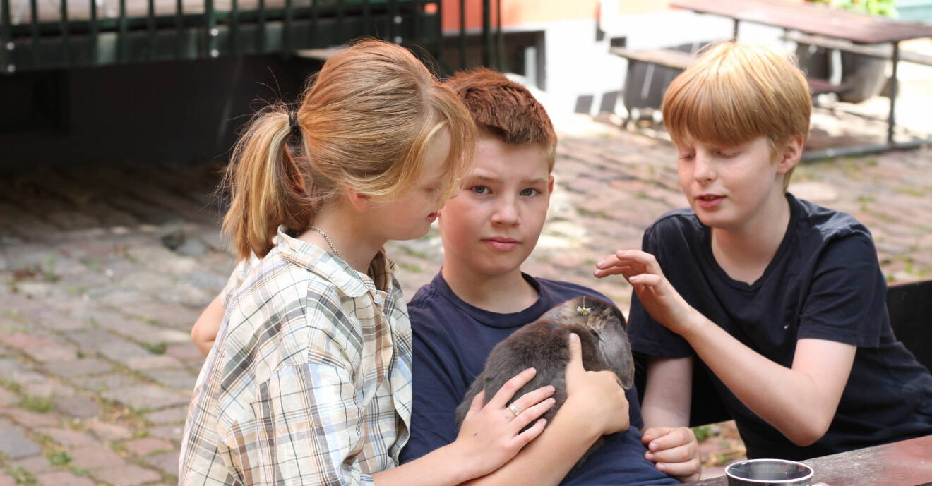 Barnen Ida, Sigge och Simon med sin kanin hemma i Köpenhamn.