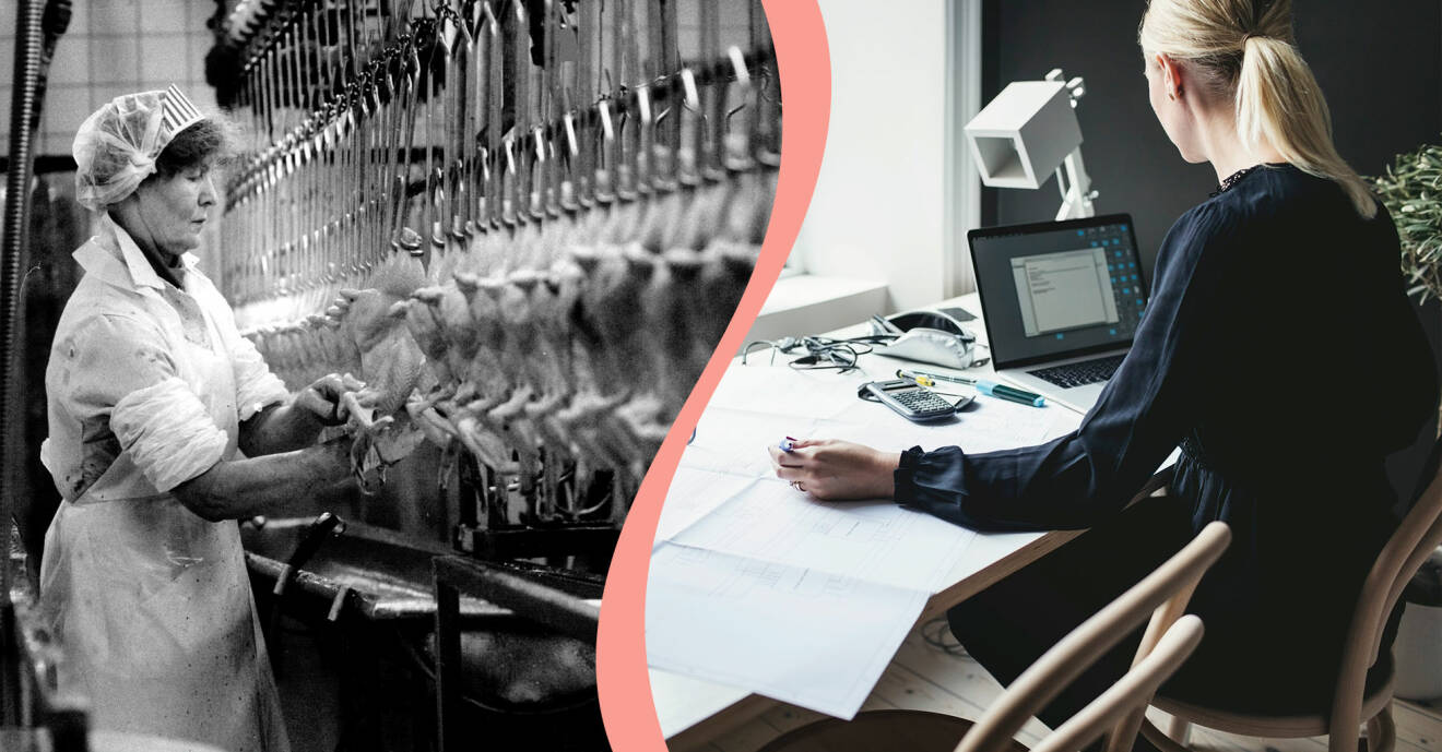 Till vänster, kvinna som jobbar med kycklingar i fabrik, till höger, kvinna jobbar med sin dator.