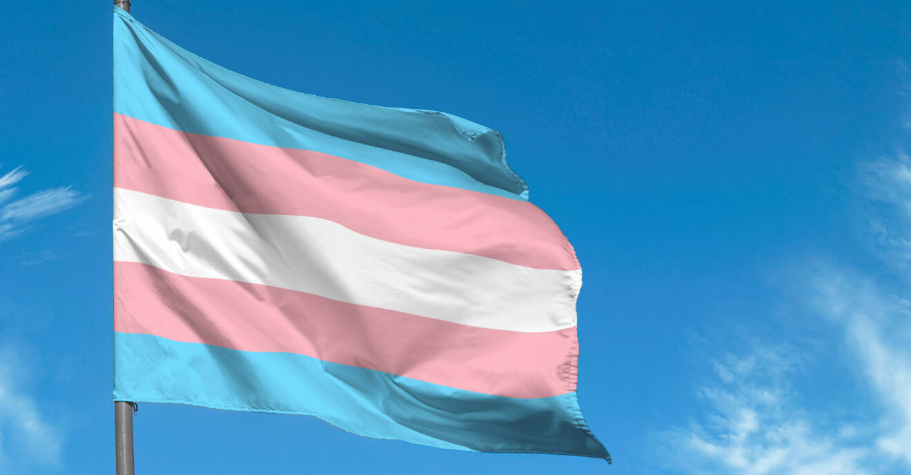 Transgender pride-flaggan