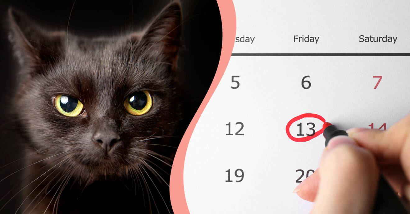 Till vänster, svart katt, till höger, en kvinna har ringat in fredagen den trettonde.