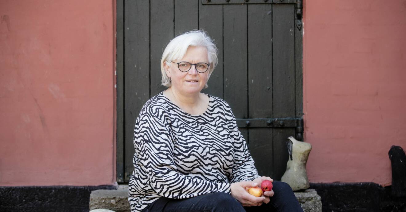 Kirsten Rohde Jensen lämnade arbetet på bankem och blev äppelodlare i stället.