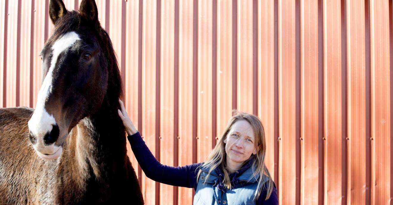 I 14 generationer har Annes släkt bott på Römö utanför den danska västkusten. Att hon själv skulle föra traditionen vidare på sin barndoms ö trodde hon inte. Efter avslutad utbildning styrde hon kosan till Grönland. I dag jobbar hon på Thomsens ridecenter på Römö.