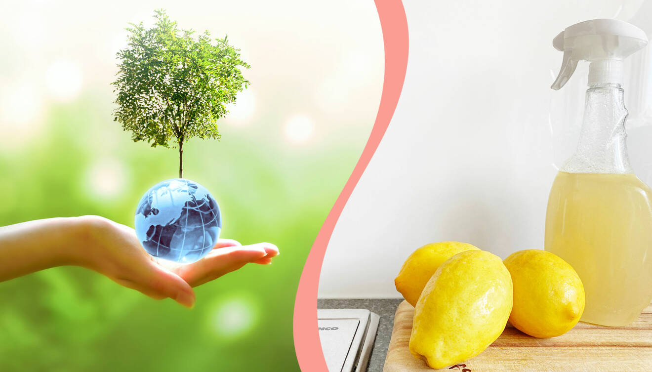 Till vänster, ett träd som växer från en liten jordglob, till höger, ett egengjort rengöringsmedel och citroner på en diskbänk