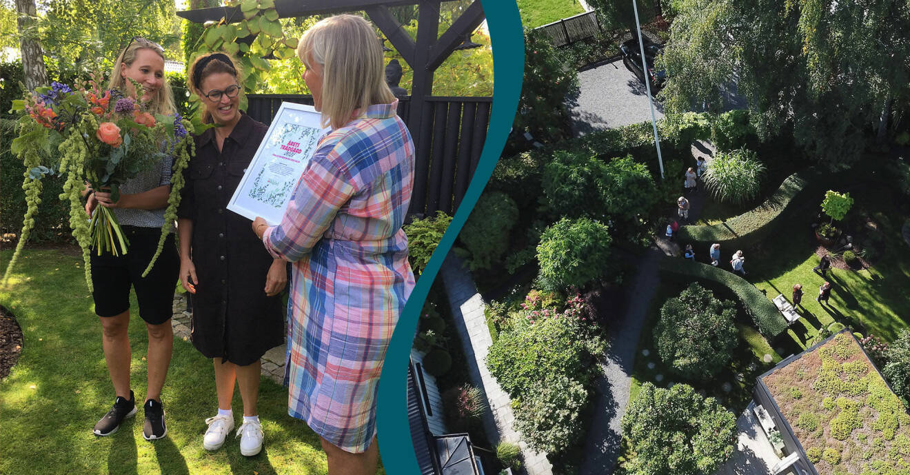 Till vänster: Vinnarna av Årets Trädgård 2021 tar emot ett diplom från chefredaktör Susanne Lindén. Till höger: Vinnarträdgården sett ovanifrån.