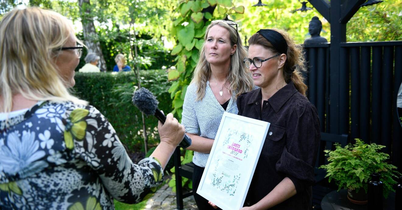 Vinnarna intervjuas av Marie Kasimir, redaktör Allers Trädgård.