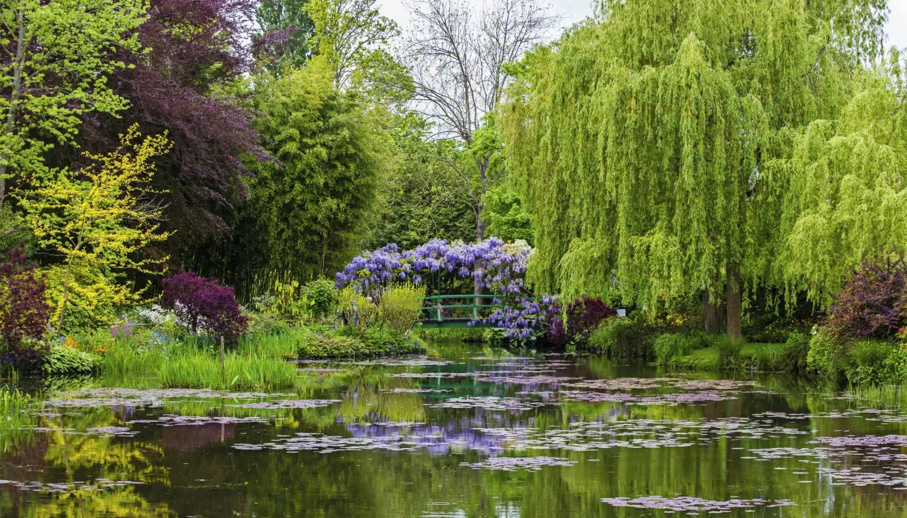 John Taylor saknar Monets trädgård i Giverny.