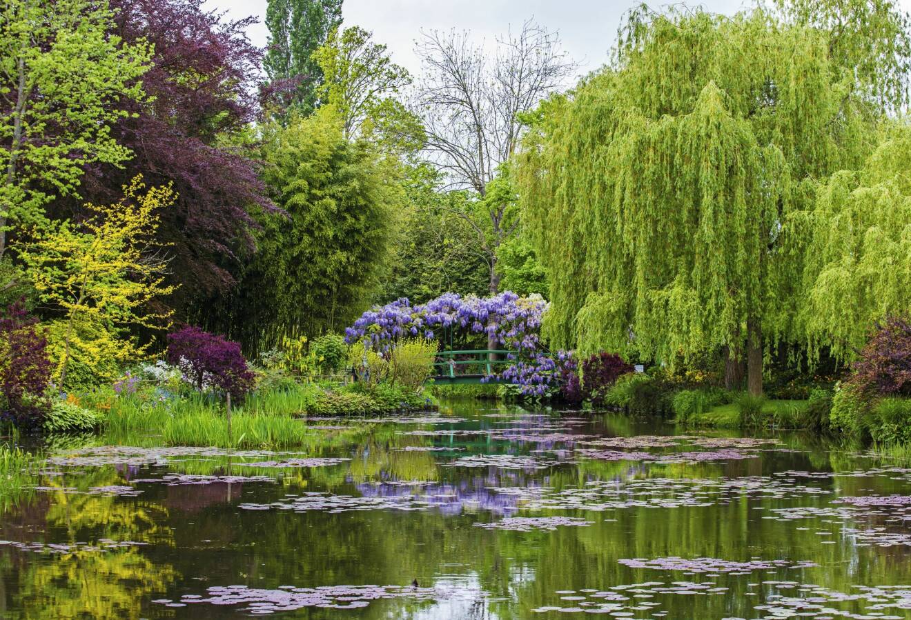 Monets trädgård i franska Giverny.