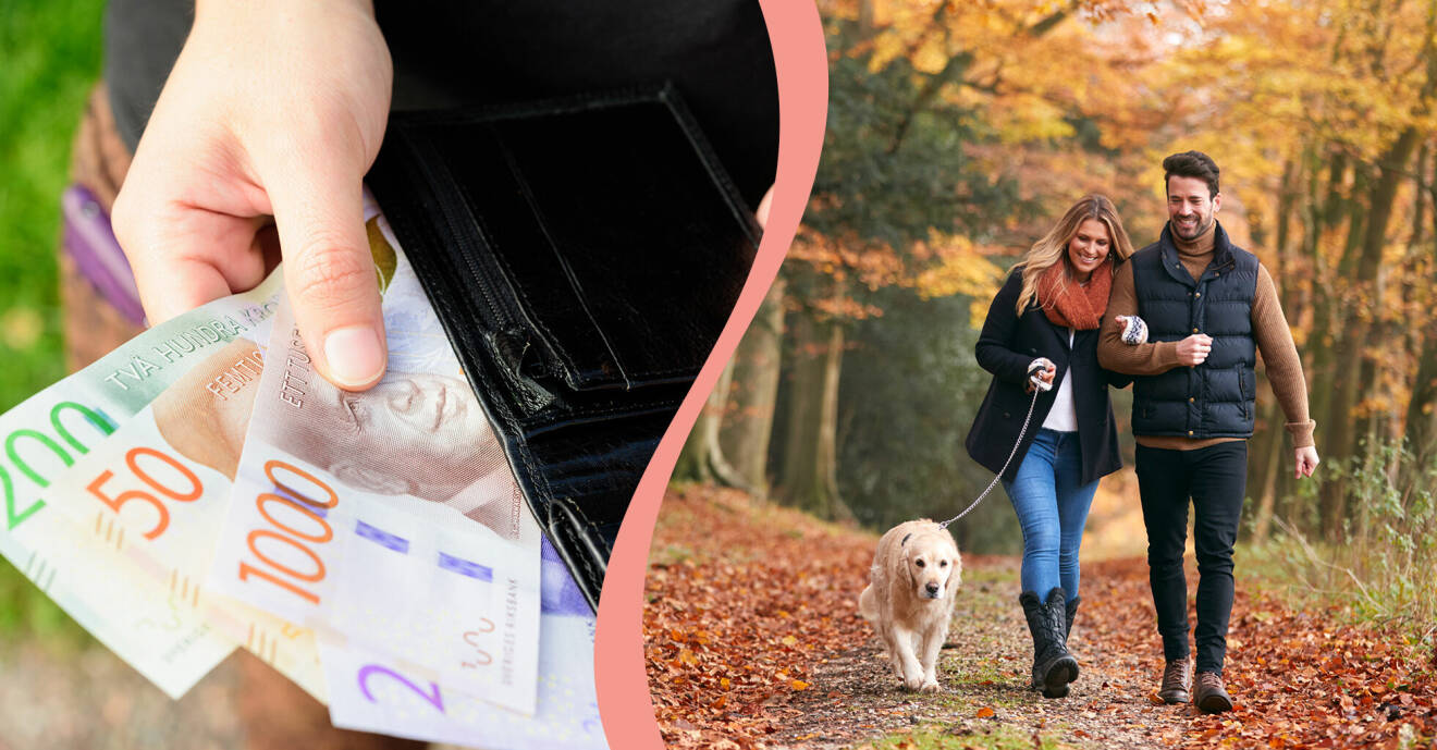 Till vänster, kontanter i en plånbok, till höger, ett par promenerar i skogen med en hund.