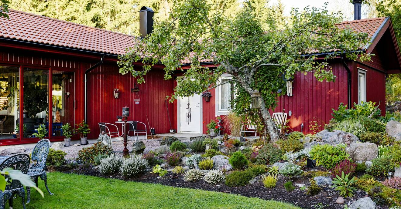 När Marjut och Lars-Gunnar köpte tomten 2009 lät de först bygga ett hus. Därefter tog det stora arbetet med att anlägga trädgården. I mitten står ett äppelträd och i mix med stenar växer bland annat barrväxter, ljung och låga rododendron.