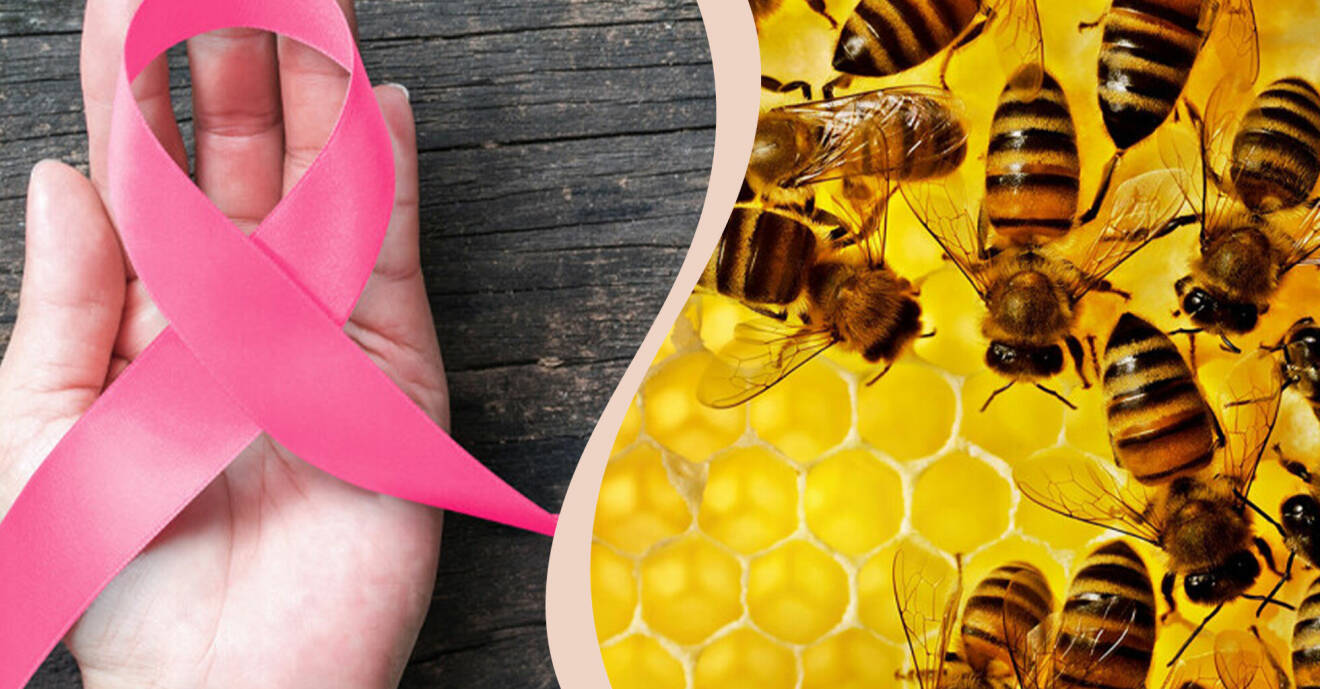 Till vänster ett rosa band lagt i kors i en hand, till höder bin i en bikupa.