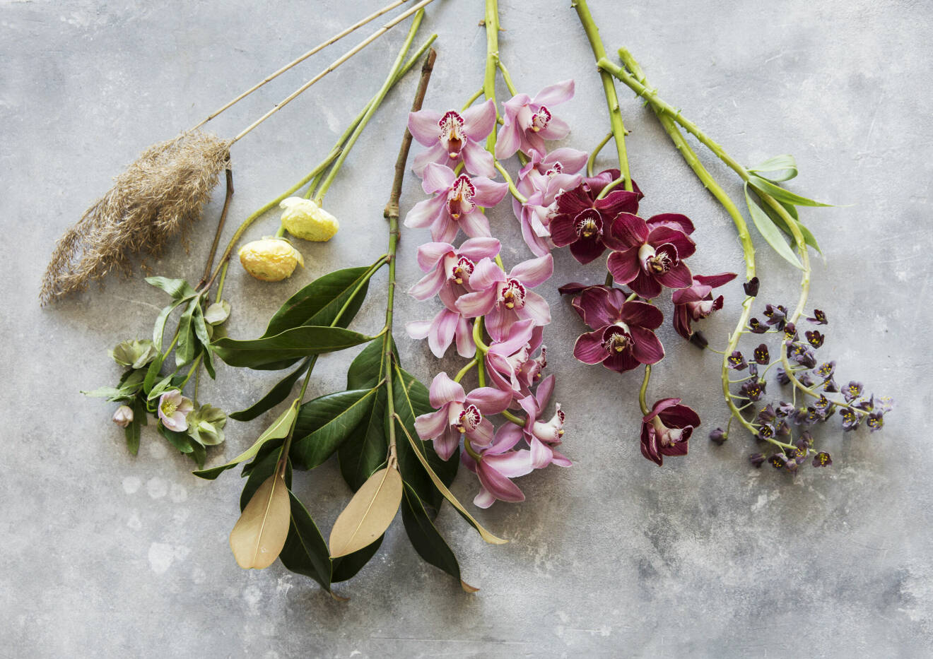 Växter (från vänster till höger): vass, julros, ranunkel, kvist med magnoliablad (även lagerhägg går bra), orkidéer av sorten cymbidium, klocklilja.