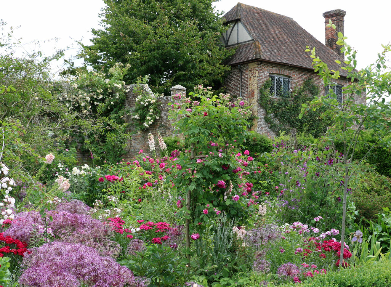 Trädgårdsrummen är romantiska i stilen och har olika färgteman. Här är det rosa toner som gäller. De många rosorna klättrar och klänger på husen, murar och ställningar.