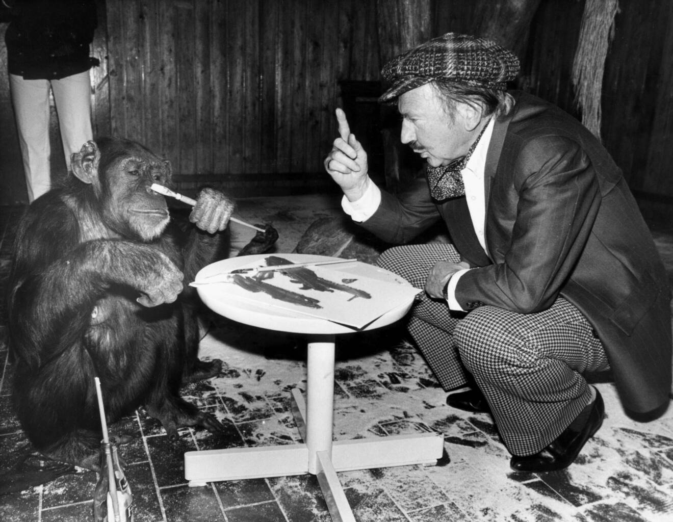 Spjuvern "Dacke" med schimpansen/konstnären Peter/Pierre