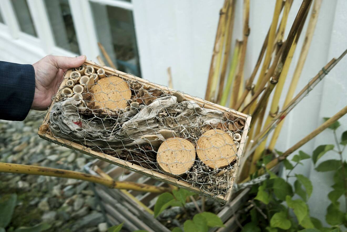 En låda med ihåliga pinnar, trä och annat som insekter trivs i, och som hålls på plats av hönsnät.