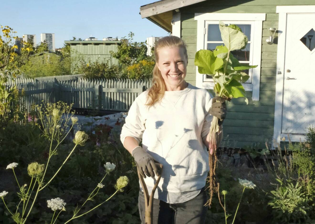 Karin Arver har just skördat kardborrerot – en av flera japanska grönsaker hon odlar.