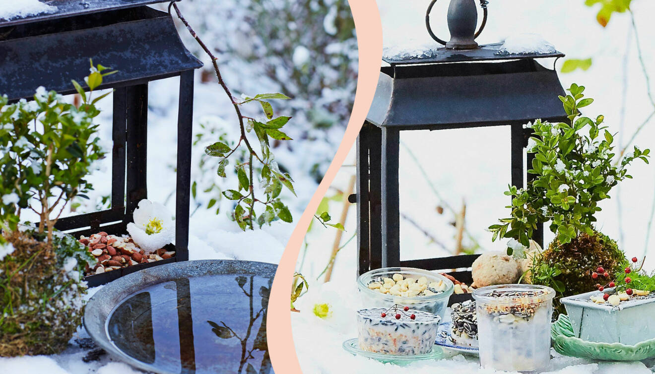 Ett litet trädgårdsbord på terrassen är idealiskt för en buffé med hemlagade delikatesser åt fåglarna.