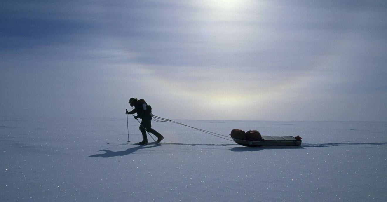 Tina och Tom har varit på många äventyr, bland annat på Syd- och Nordpolen.