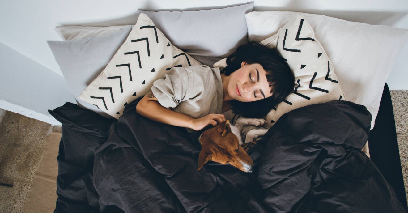 Ung kvinna med hund som sover i en säng