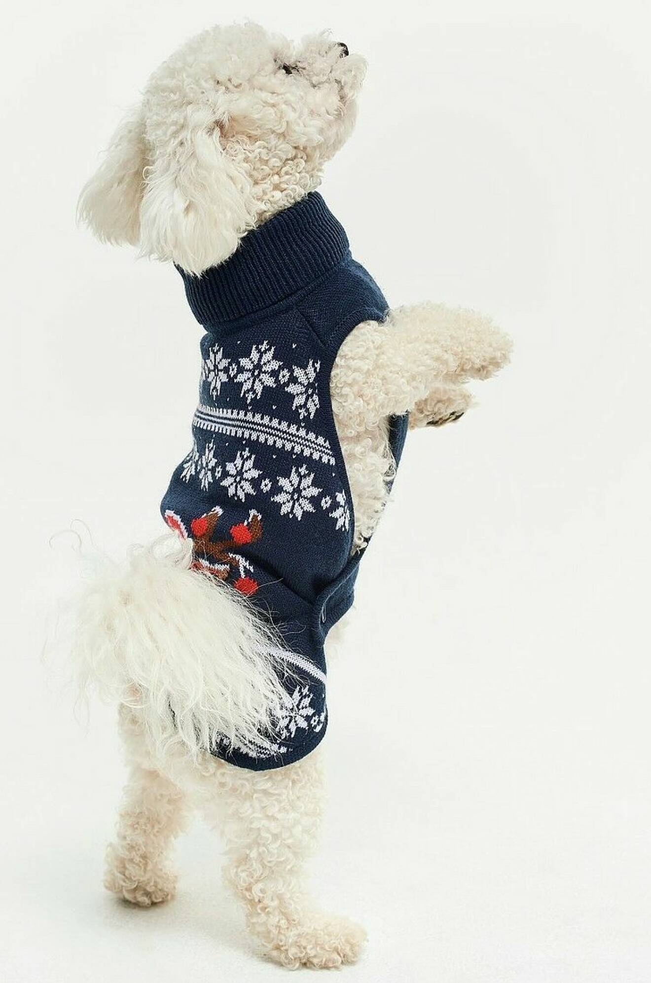 Stickad blå hundtröja med julmotiv.