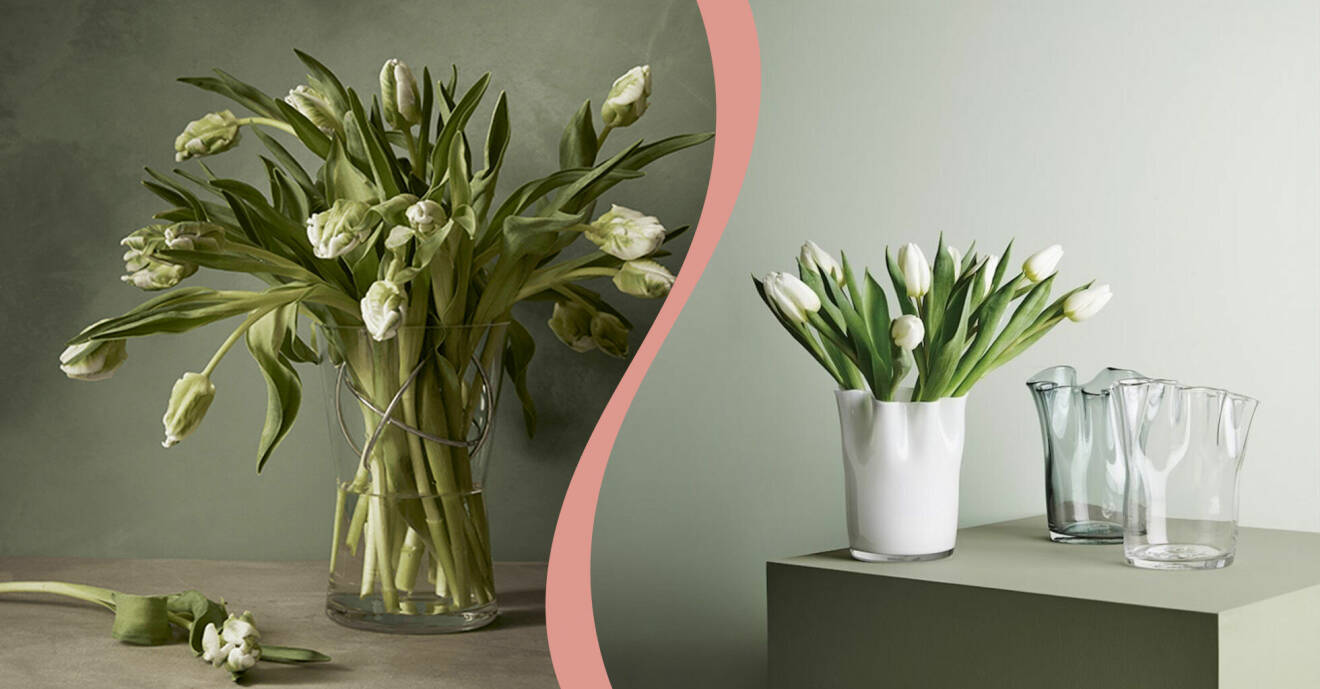 Tulpaner i olika vaser.