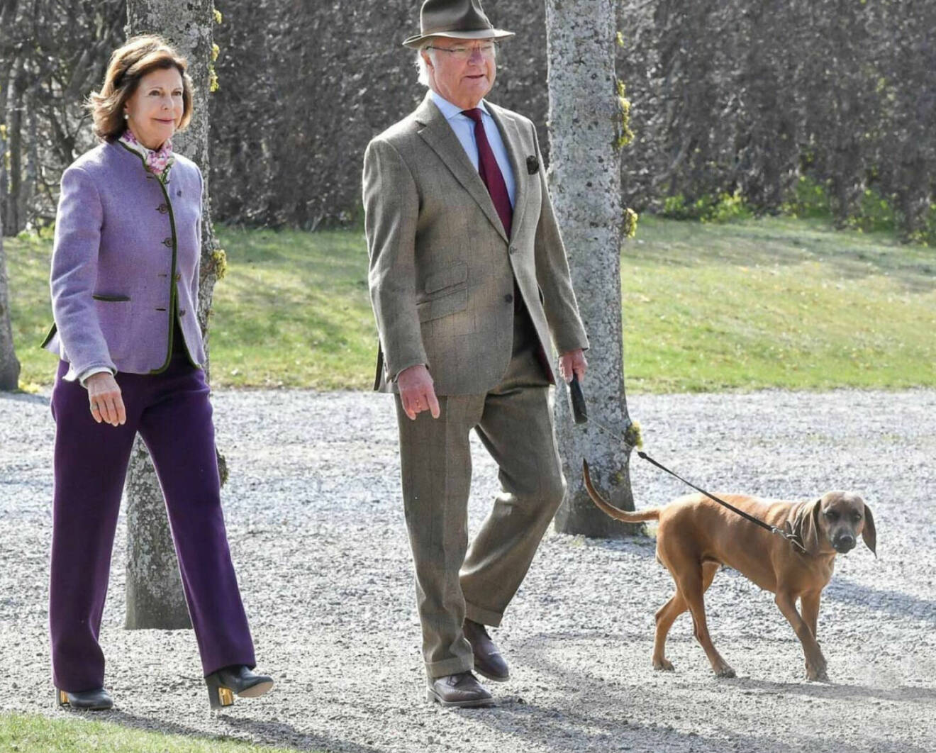 Drottning Silvia och kung Carl XVI Gustaf med hunden Brandie.
