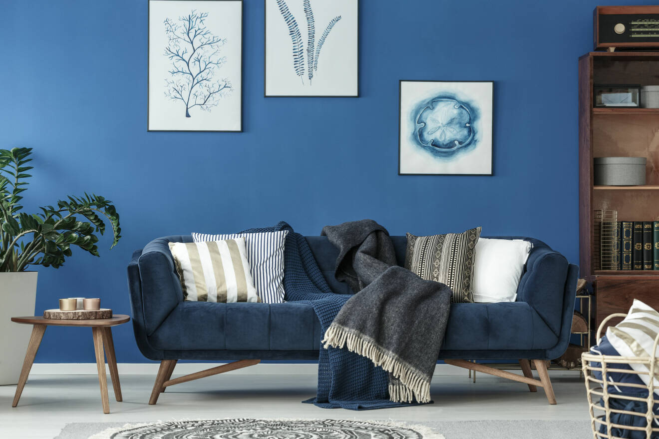 Inredningsbild med mycket blått – alltifrån väggen till soffan och tavlorna.