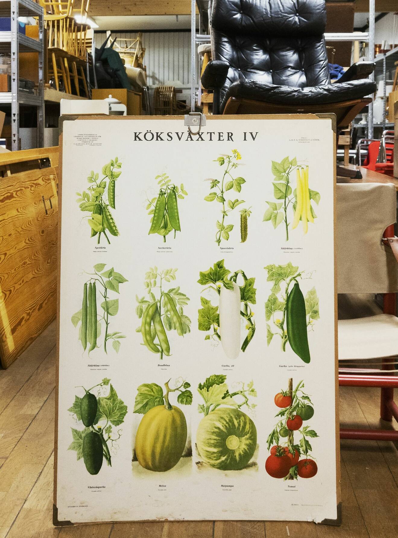 En begagnad affisch med köksväxter står framför förvaringshyllor med möbler och prylar på lagret på Folk interiör.