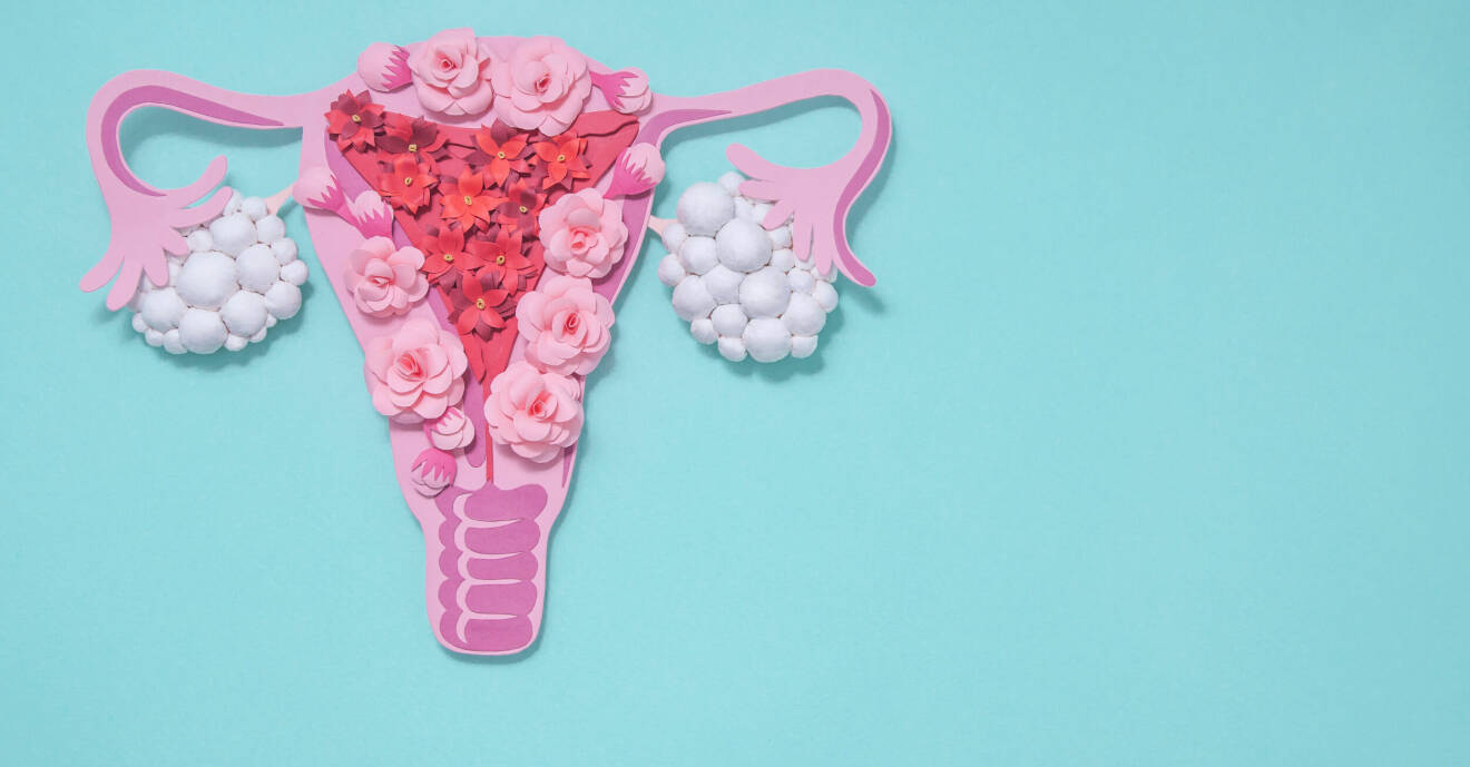 En modell av en livmoder tillverkad i färgglatt papper.