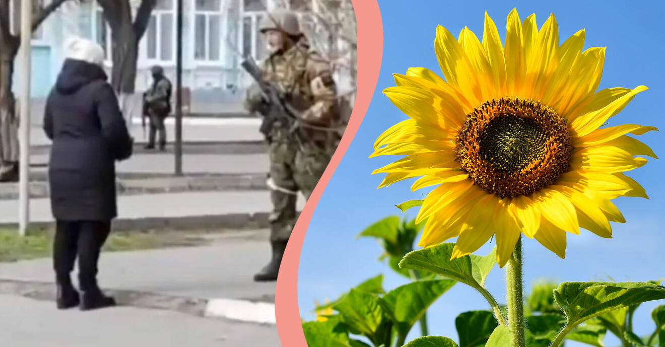 Till vänster, en kvinna konfronterar ryska soldater, till höger, en solros.