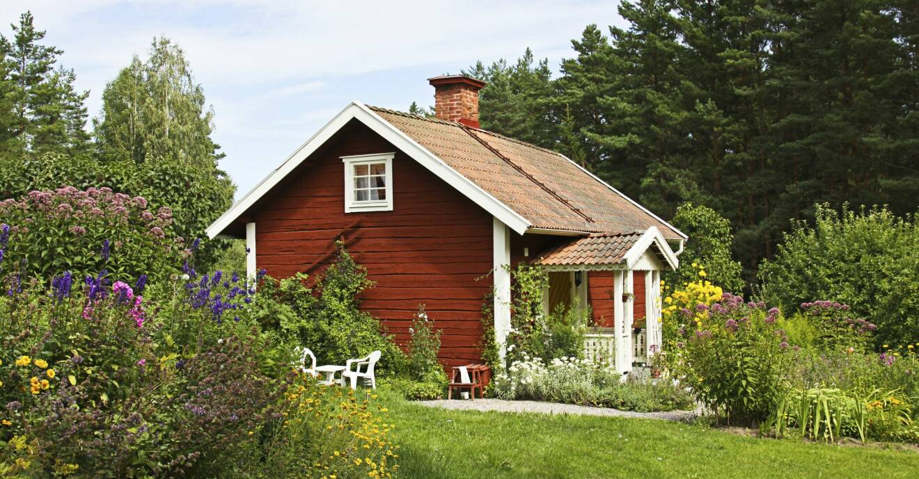 Ett rött litet trähus med vita knutar och blomstrande sommaridyllisk trädgård.
