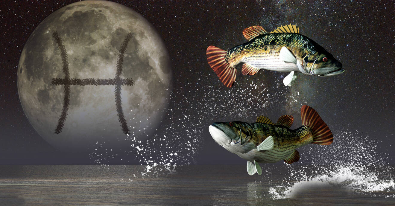 En illustration av stjärntecknet fiskarna med en himlakropp med tecknet för fiskarna i bakgrunden.