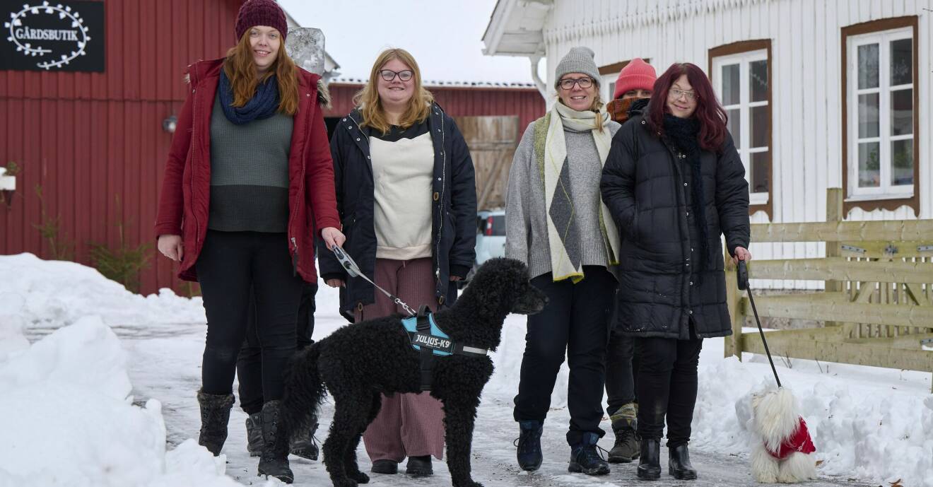 Deltagarna i projektet Grönt innanförskap tar en promenad med hundarna