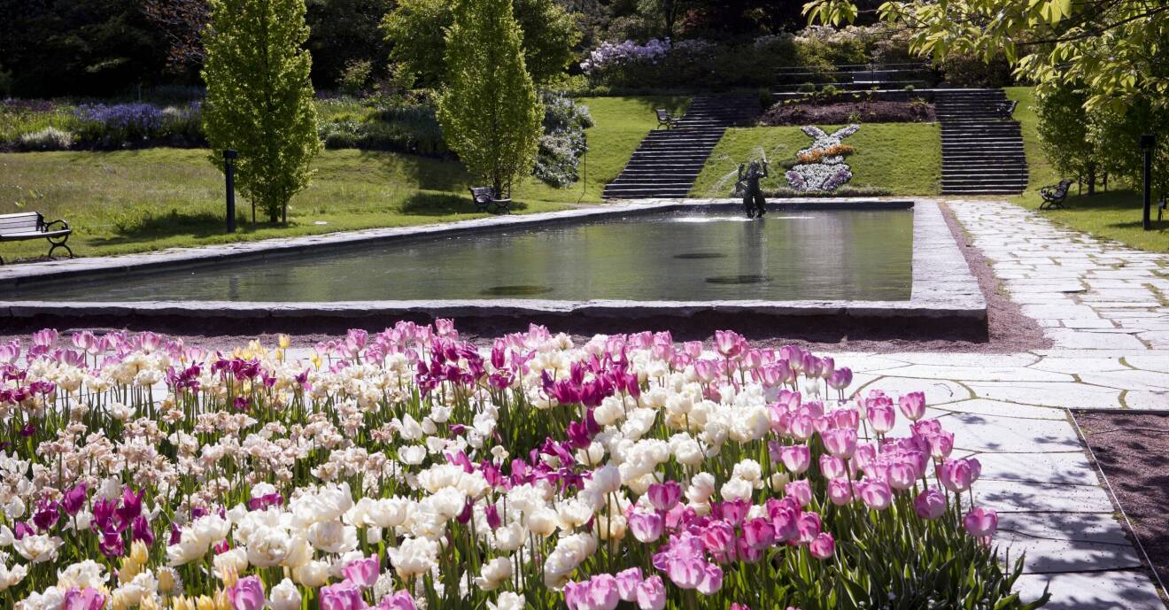 Botaniska trädgården i Göteborg.