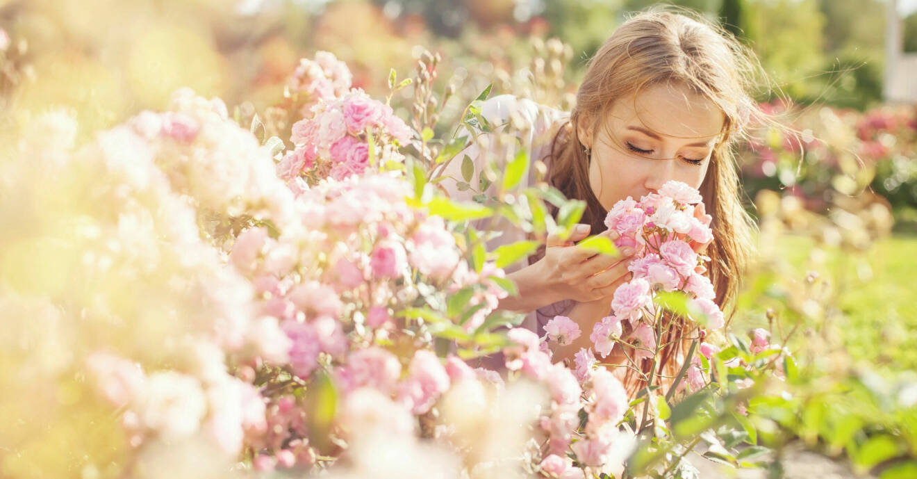 Kvinna luktar på blommor