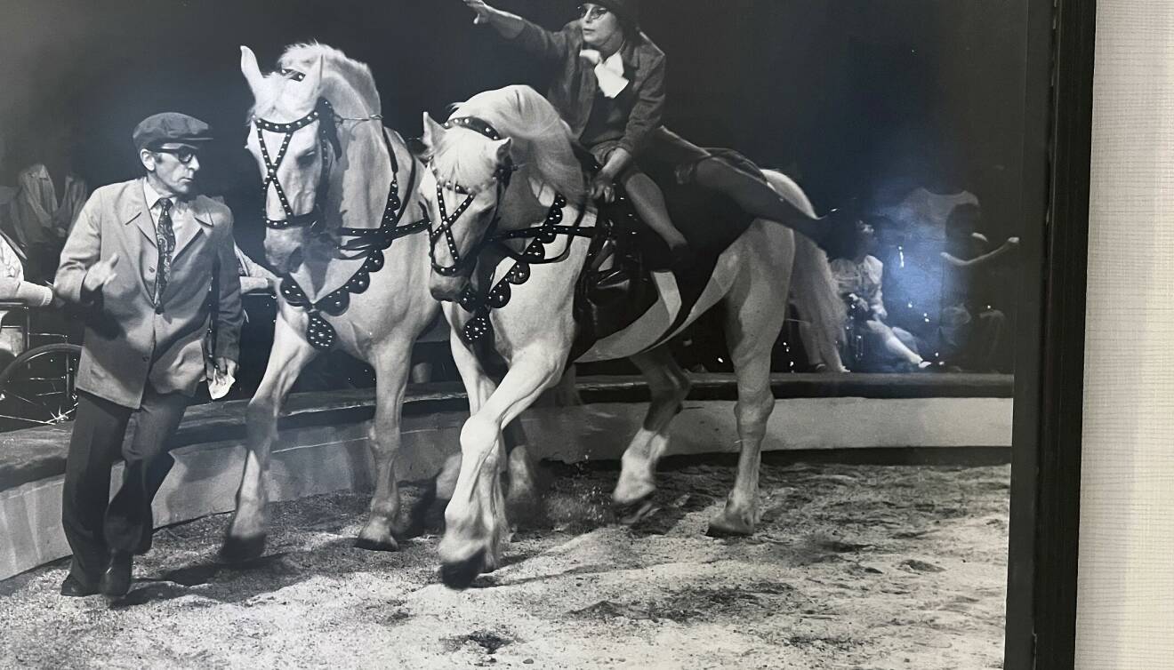 Carl-Axel Svensson springer framför två hästar i manegen och Susanne rider på en av hästarna i ett komiskt nummer, något cirkusen The Svensons var kända för.
