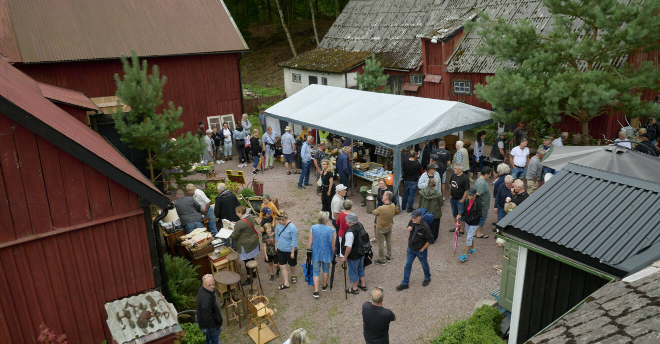 Gårdsplanen fylldes med människor under slagauktionen i Röetved.