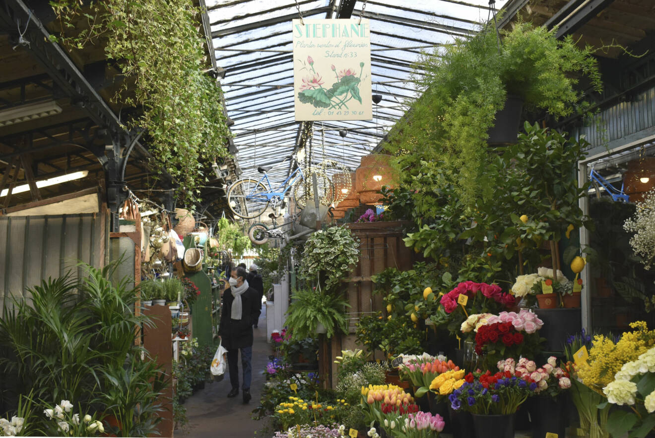 Blomstermarknad på Ile de la cité i Paris