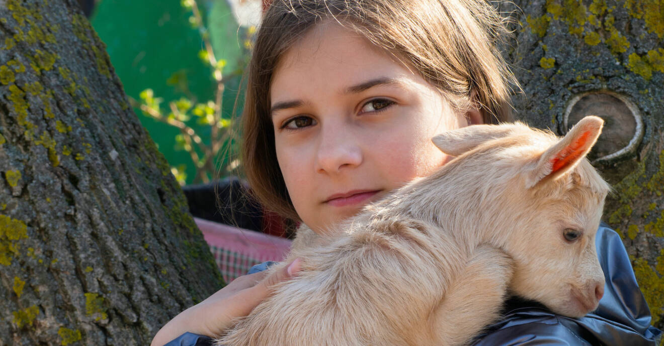 En flicka i 13-årsåldern står med en liten get i famnen.