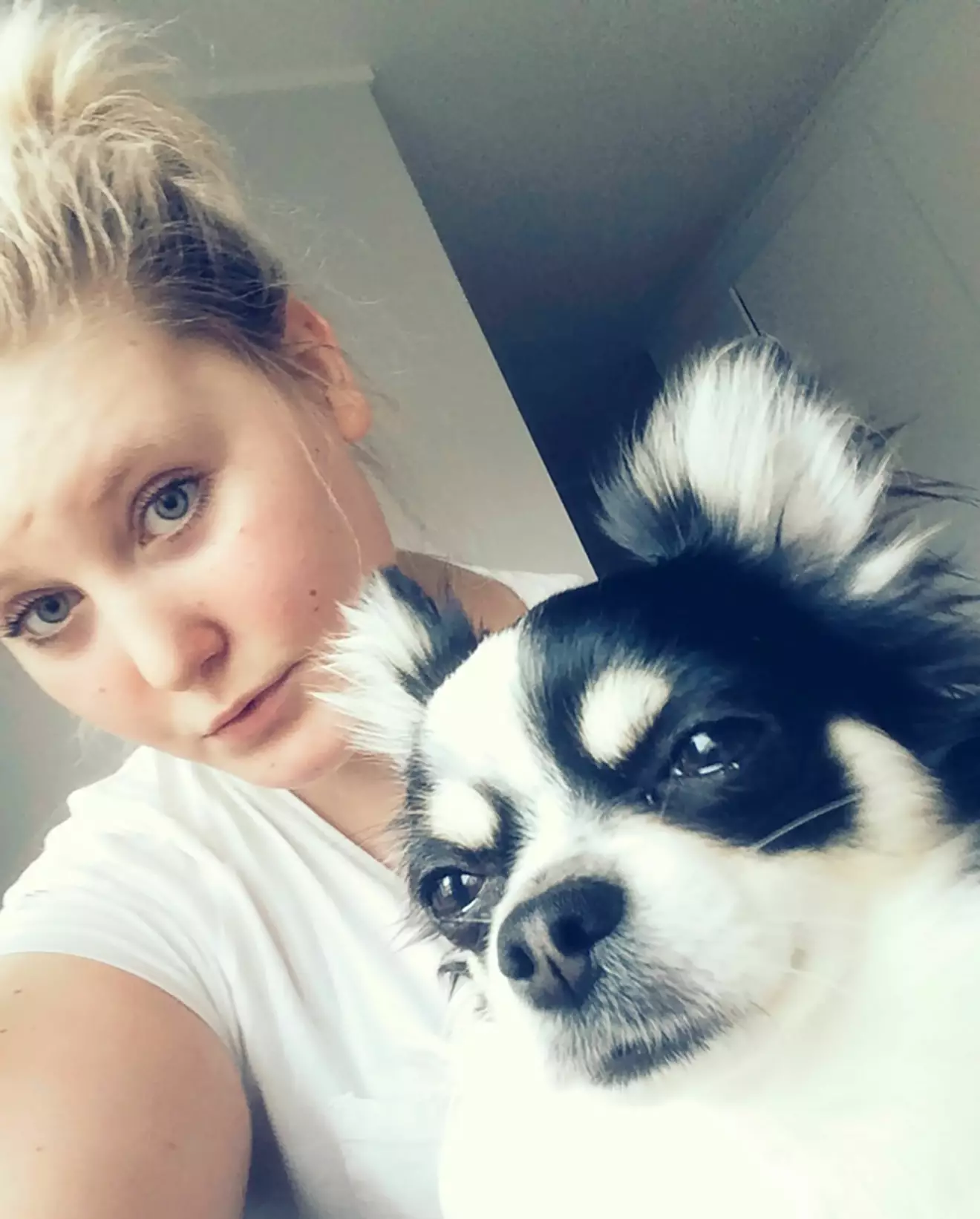 Josefine Nyström tar en selfie tillsammans med chihuahuan Milou.