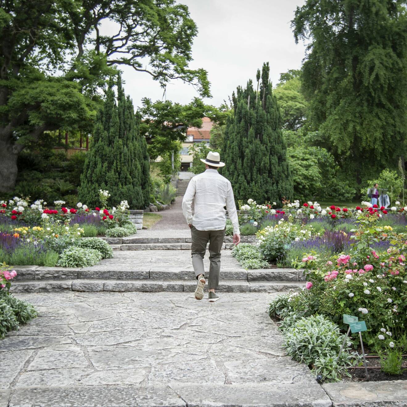 Philip promenerar i Botaniska trädgården.