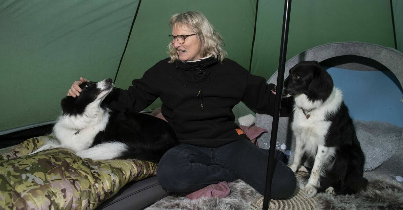 Cana sitter på golvet i tältet tillsammans med hundarna Balli och Didi.