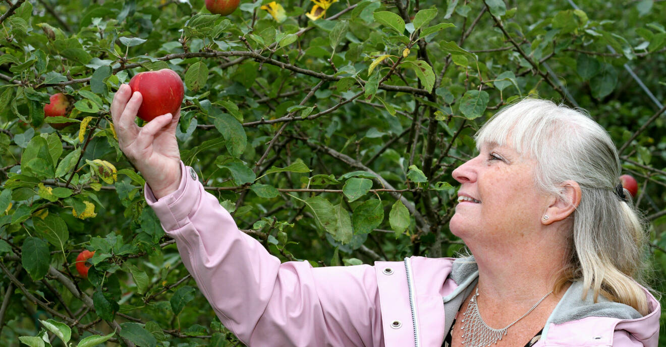 Kvinna som håller upp ett rött äpple.