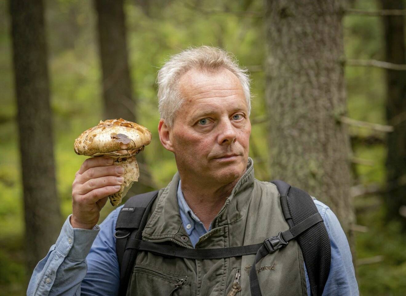 Kjell Hedberg är mykorrhizamykolog