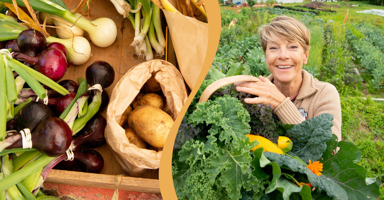Kvinna och ekologiska grönsaker