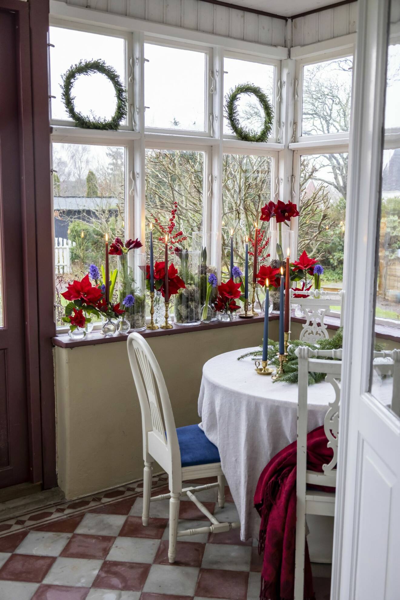 Fönster med julblommor.