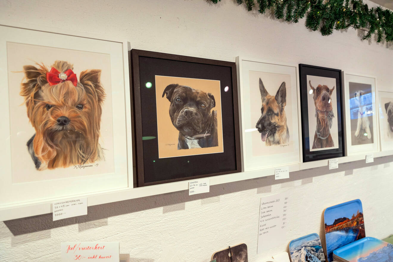 Tavlor som förställer porträtt på olika hundraser.