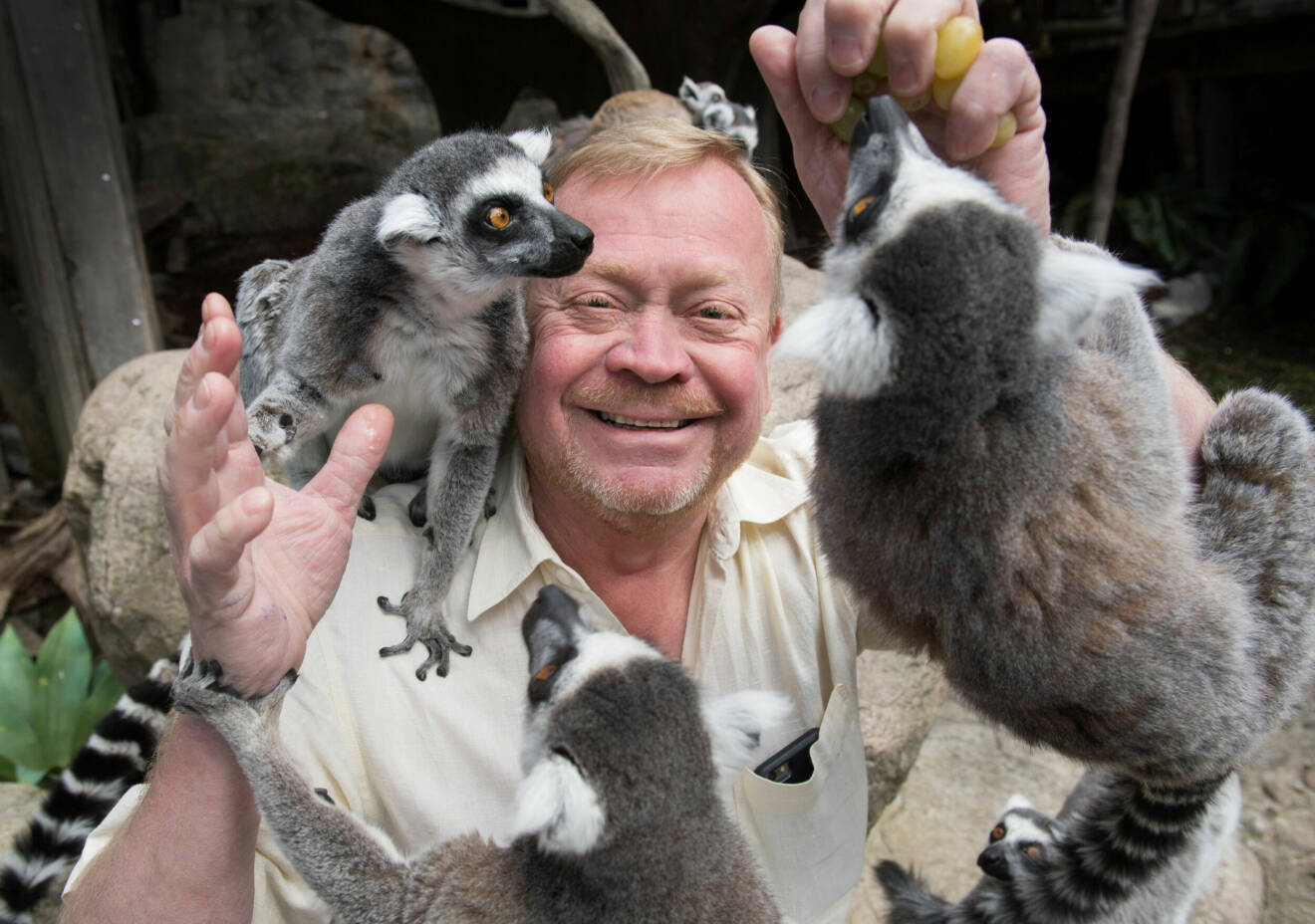 Skanskenakvariets grundare och chef Jonas Wahlström tillsammans med lemurerna.