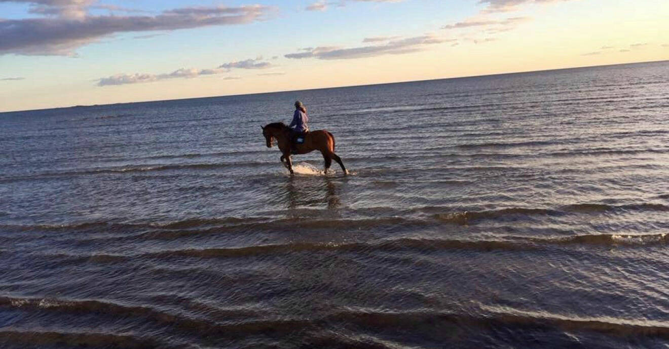Caroline rider på en häst på en strand.