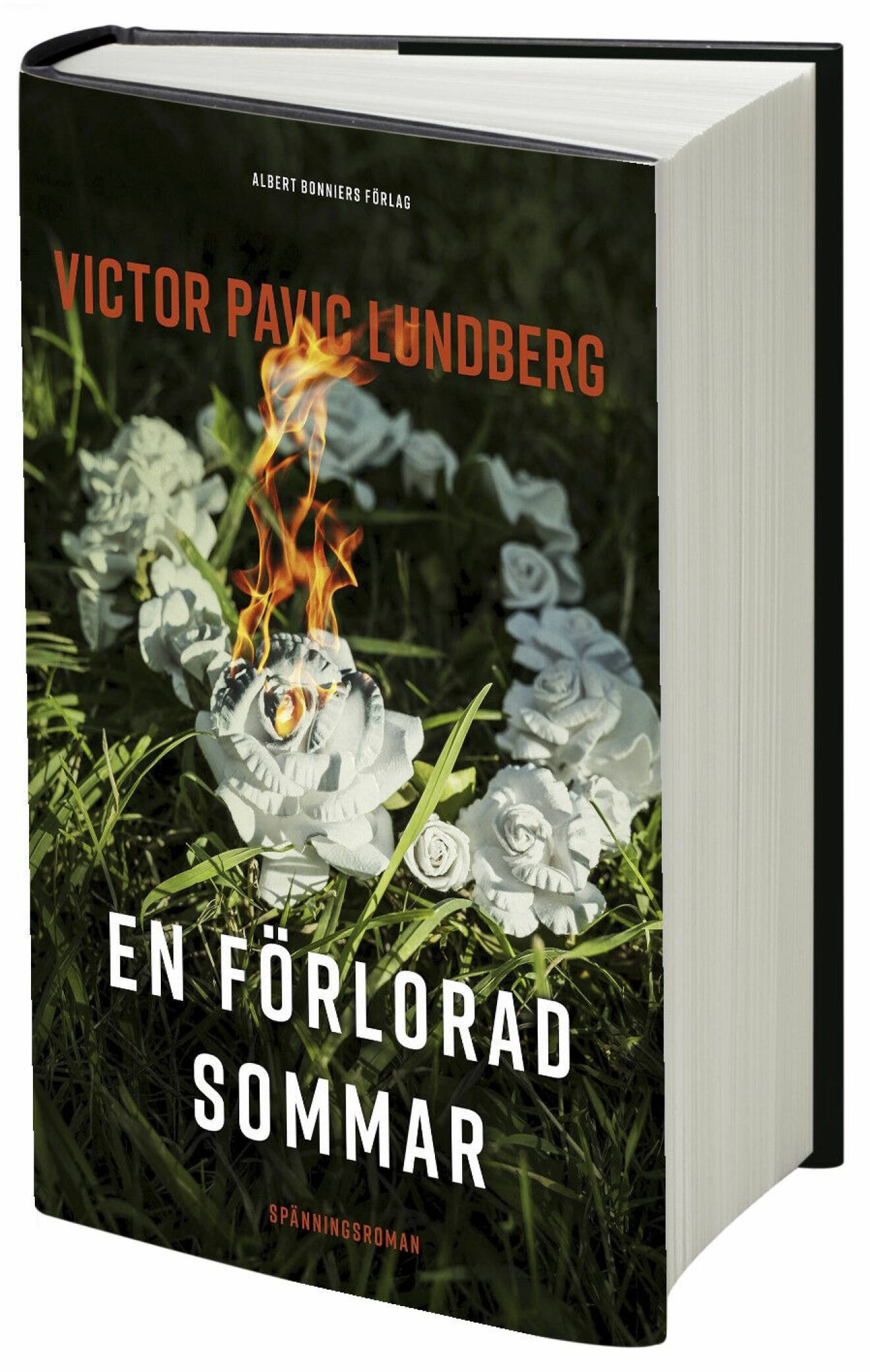 En förlorad sommar av Victor Pavic Lundberg (Albert Bonnier)